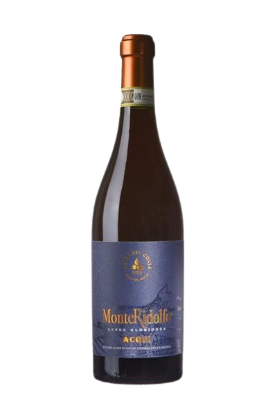 Cantina Alice Bel Colle MonteRidolfo