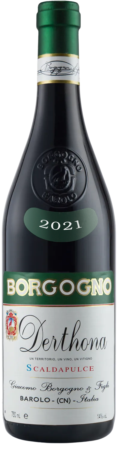 Virna Borgogno Derthona Scaldapulce