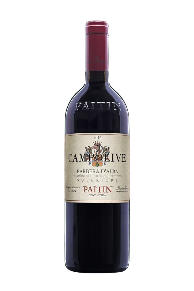 Paitin Campolive