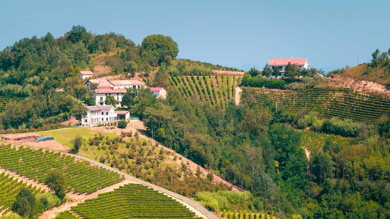 All'Insù Vini