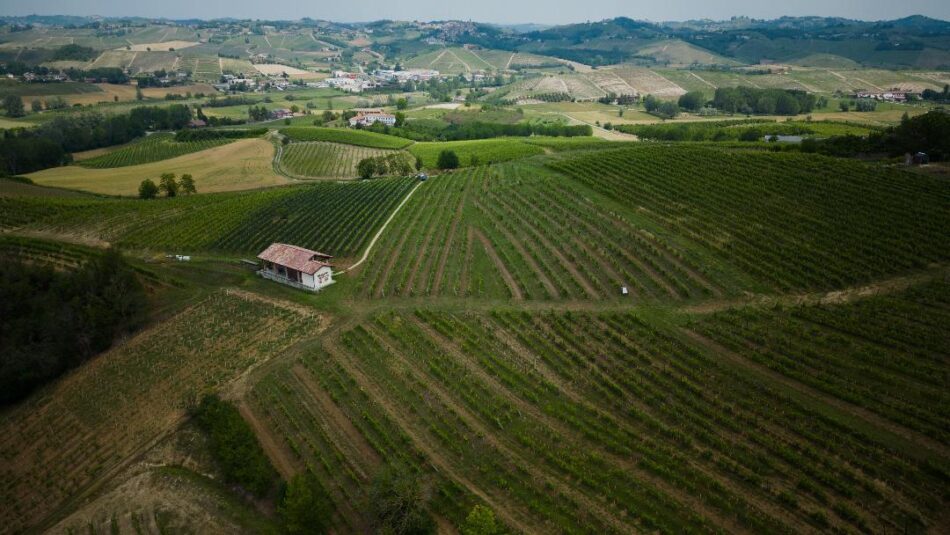 Amistà