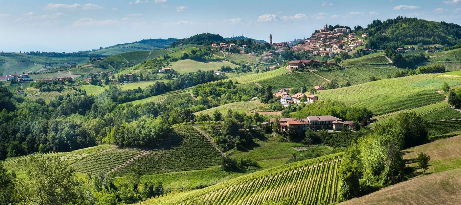 Amalia Cascina in Langa