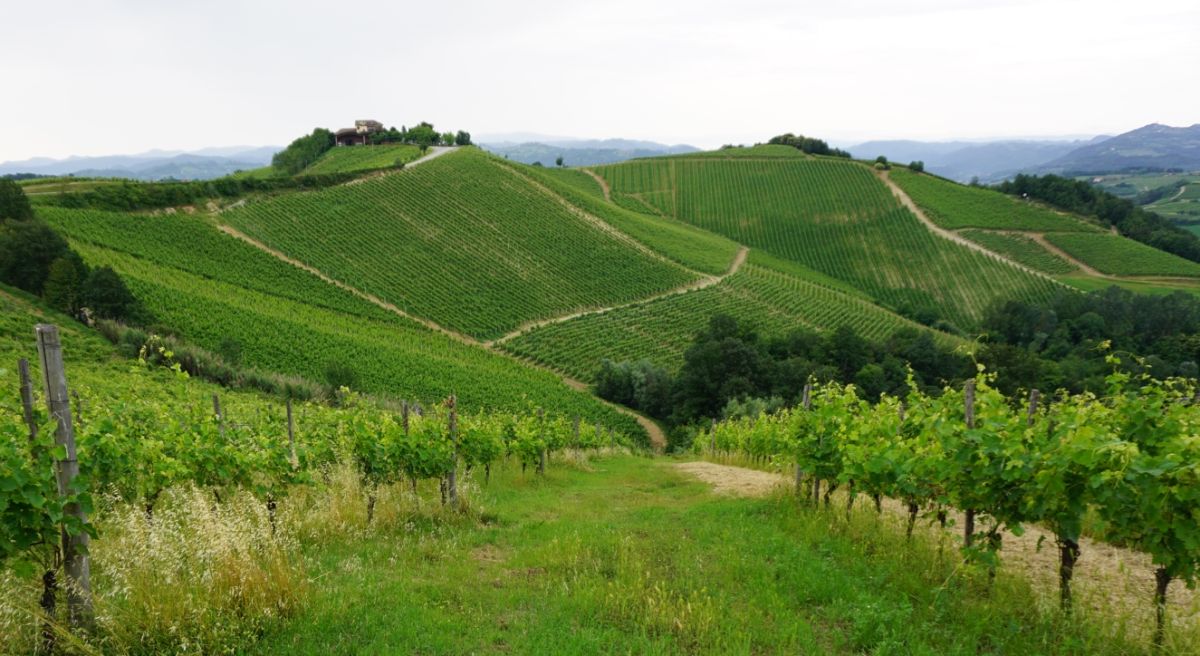 Antica Casa Vinicola Scarpa