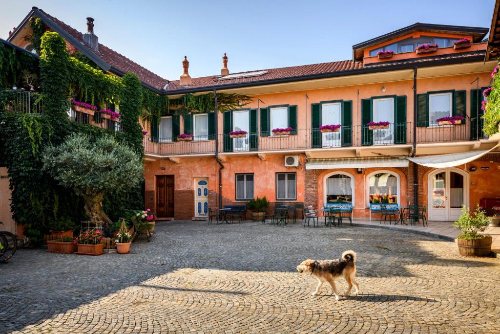 Anzivino
